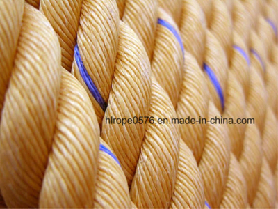 High Quality Twist 3/4 Strand Polypropylene Danline Marine Rope for Fishing