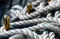 Multiple Rope for Ship / PP Rope/ PA Rope/ Ship Rope